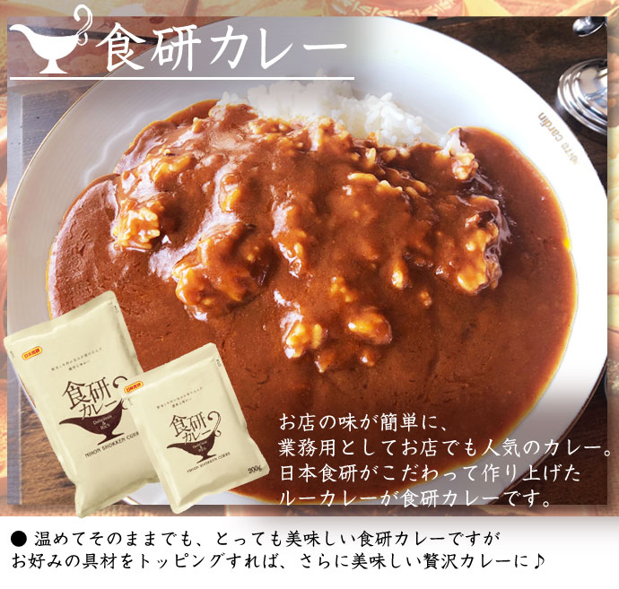 日本食研　食研カレー1袋（200ｇ）と食研だし1袋（10個入り）