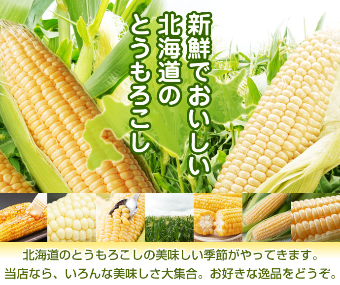 北海道のとうもろこし 北海道のお取り寄せ・通販 共栄水産